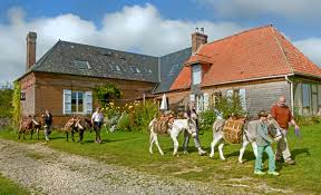 Dans un corps de ferme typiquement normand, le gîte d'étape et de séjour, en briques et silex, entièrement situé en normandie, dans le pays de caux, à bernières, près de bolbec, vous n'êtes qu'à 2 heures de paris, une ½ heure du havre et d'etretat, ¾. Vacances Et Gites A La Ferme En Normandie