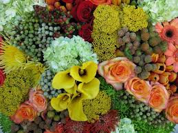 Houston, tx 77036 branch greater houston. Hill S Wholesale Florist Home Facebook
