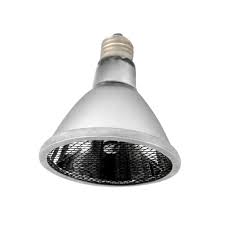 Quick Heating Reptile Far Infrared Heating Lamp Sun Dome 220v Reptile Lamp Terrarium Tortoise Lizard Warm Night Light Ceramic Lamp Walmart Com Walmart Com