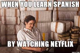 The University Of Netflix Meme On Imgur