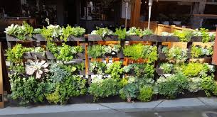 Watching life form has never been easier, our candler enables. 13 Gardening Techniques To Achieve A 500 Bigger Harvest Diy Crafts