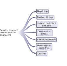 Check spelling or type a new query. Tissue Engineering Protocols And Methods Springer Nature Experiments