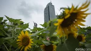 Maybe you would like to learn more about one of these? Fenomena Aphelion Disebut Bawa Suhu Dingin Ini Penjelasannya