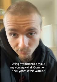 Song is; How Would I Know? by. Hugo Daniel #grungerock #alternativerock  #hugodaniel #kittensoftiktok #kittens