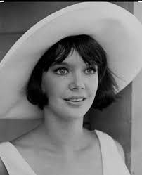 congratulations Colin Lewes Hanks (born November 24, 1977) is an American  actor and comedian. He has starred in films including Orange County, King  Kong, The House Bunny, The Great Buck Howard, and