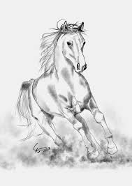 Horse Sketch Drawing Pencil Gambar Lukisan Seni Pensil Kuda Hobby Lukisan Gambar Kuda Gambar