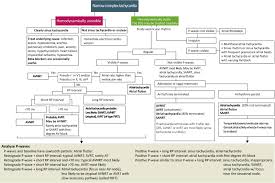 diagnosis and management of narrow and wide complex