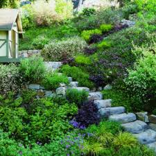 Slope Garden Garten Landschaftsbau Garten Gartengestaltung Ideen