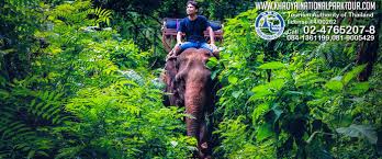 For great views of the surrounding area, visitors can hike to one of several peaks. Khao Yai National Park Tour From Bangkok Thailand Khaoyai Day Tours
