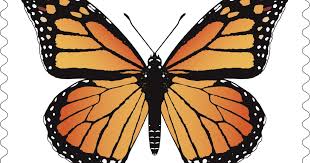 The monarch butterfly is the most beautiful and interesting creature in the insect world, and its migration is a source of fascination for many. New Butterfly Stamp Set For Odd Oversize Cards