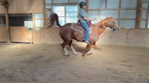 Hi I'm looking for help diagnosing what could be the issue here. , My  client bought this horse 8 months ago. The day they got her she was clearly  uncomfortable but it was chalked up to poor saddle ...