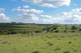 South america > argentina > pampas. The Pampas South America Lac Geo