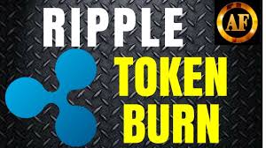 Ripple And Xrp Xrp Burned Vertmed