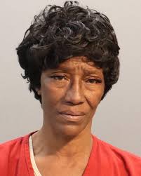 Johnston, Josee Joann mugshot and booking details