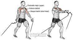 Check spelling or type a new query. Standing Incline Cable Fly Exercise Guide And Video Weight Training Guide Best Chest Workout Cable Workout Chest Workout