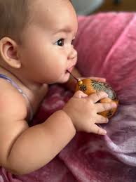 Hawaiian Christmas Ornament • Etched Mini Gourds • Earthy Decor • Christmas  Ornaments •