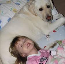 han 🔆 (@hannahpersingg._) · Instagram photos and videos