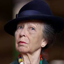 Princess Anne hints at challenges with 'slimmed down' monarchy in cutting  remark