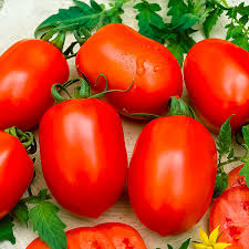 Per acre cost of production is high, and yields can be severely limited by pest problems or environment. Tomato Continental Seeds Company