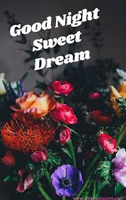 Leaving bed has become the hardest thing for me, mainly because i get to leave the woman of my dreams. Top 90 Good Night Rose Cute Good Night Images