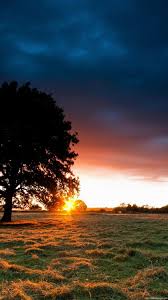 Nature Wallpaper For Phone Screen Hd nature wallpapers beautiful landscape, mountain, beach, flowers, waterfall, sun & sky background images download for your smartphone. nature wallpaper for phone screen