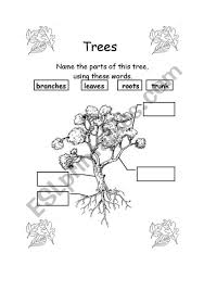 Parts Of A Tree Worksheet Kindergarten Worksheets Kindergarten Worksheets Printable Family Tree Worksheet