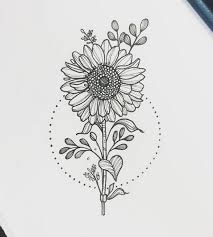 Comfortable drawing outline sunflowers black and white doodles flowers clipart 1660924 pikpng download 16 sunflower outline free vectors. Sunflower Drawing Simple
