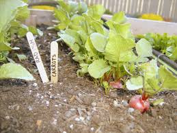 Check spelling or type a new query. October An Ideal Month To Start Planting Vegetables