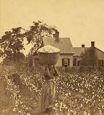 Plantation Slavery - Women & the American Story