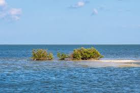 Maybe you would like to learn more about one of these? 11 Fun Things To Do In Rockport Tx Lone Star Travel Guide