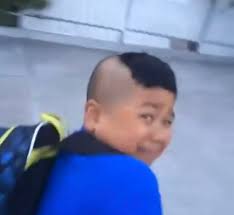 We did not find results for: Damnnn Who Tf Cut Your Hair Bruh They Bout To Mow The Whole Goddam Lawn Never Forget This Iconic Vine Justfuckmyshitup