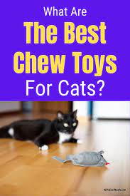 Best Cat Chew Toys And Why Your Kitty Needs One Cat Toys Cool Cats Cats
