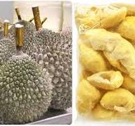 Industrial Use Quick Tunnel Freeze Machine For Durian Supplier