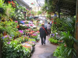 Marche Aux Fleurs Ile De La Cite 1er Metro Cite Ligne 4