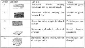 Hasil uji labolatorium menunjukkan urin seseorang mengandung glukosa, hal ini terjadi akibat ada gangguan fungsi ginjal pada bagian. Soal Dan Jawaban Biologi Un Sma 2017 No 11 20 J4wab