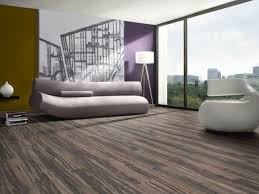 Silver Birch Dark Laminated Flooring Ctm Dark Laminate Floors Wood Laminate Flooring Laminate Flooring