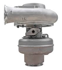 Image result for Turbina holubii