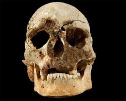 Einige forscher scheren aus und behaupten: Steinzeit Briten Waren Dunkelhautig Vor 10 000 Jahren Lebender Jager Und Sammler Besass Gene Fur Dunkle Haut Und Helle Augen Scinexx De