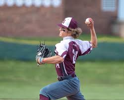 Shippensburg baseball blanks Red Land behind dominant outing by Tucker  Chamberlin