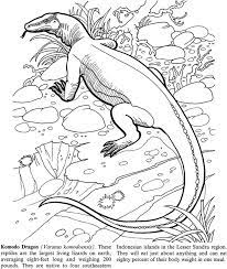 These printable coloring pages give a new meaning to leapin' lizards! Endangered Animals By Jan Sovak Coloring Page 1 Æ' Welcome To Dover Publications Dragon Coloring Pages Dragon Coloring Page Animal Coloring Books