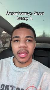 Stanley with A Switch Gutter Bunny