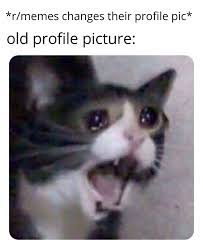 This is not meant to be a formal definition of pfp like most terms we define. Pfp Just Got Updated Memes