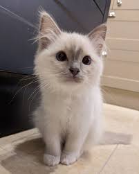 Pin On New Method Agency Llc