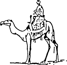 Camel clipart black and white. Camel Black And White Arabian Camel Transparent Cartoon Jing Fm