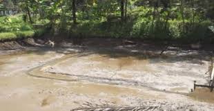 We did not find results for: Pemilihan Lokasi Untuk Kolam Budidaya Ikan Lalaukan