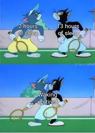 Jerry looking out the window meme. Tom And Jerry Cat Meme Shefalitayal