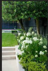 Pin On Garden Outdoors