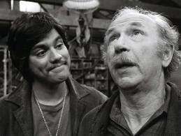 Boomer Bust: SEVENTIES SITCOMS: 1976-1977. BICENTENNIAL BLUES (SO LONG,  MARY) AND REVOLUTIONARY GENDER WARS.