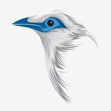 animal animal vector bird blue bird jalak bali indonesian flora vector clip art illustration bird cat vector vector