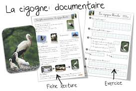 Epingle Sur Education